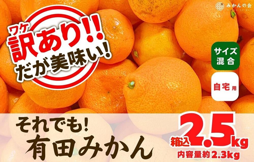 
            訳あり それでも 有田みかん 箱込 2.5kg (内容量約 2.3kg) サイズミックス B品 有田みかん 和歌山県産 産地直送 家庭用［2025年11月中旬より2026年1月中旬頃順次出荷予定］［みかんの会］
          