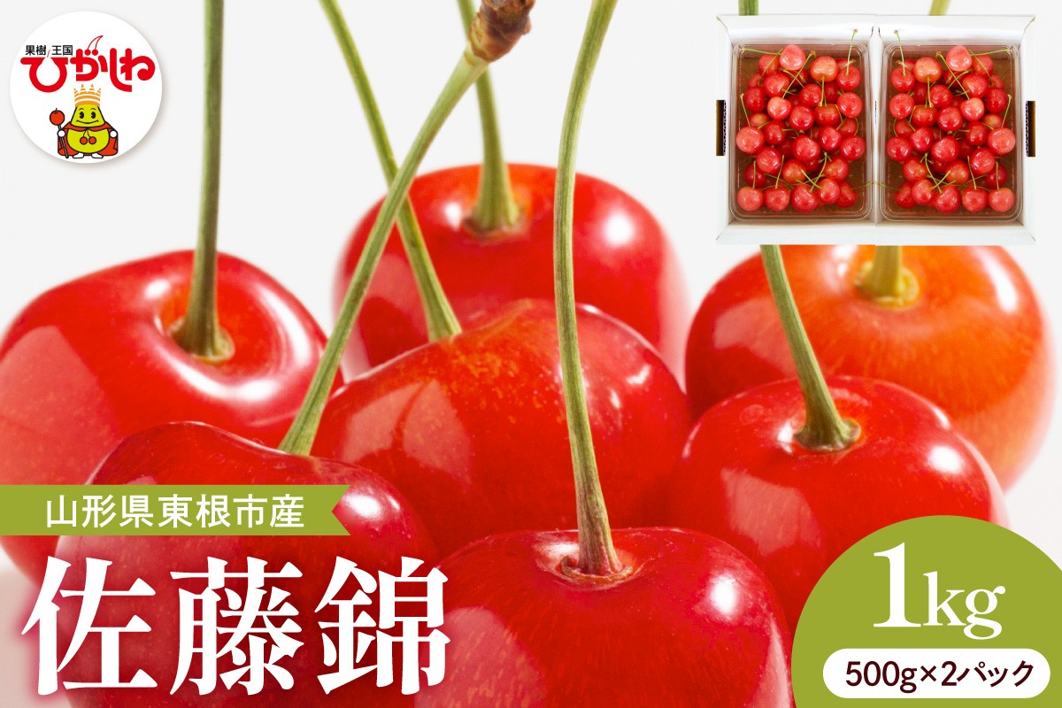 
                  【2027年産】さくらんぼ「佐藤錦」秀品 1kgバラ詰め (500g×2パック) Lサイズ以上 山形県 東根市 安達農園提供 hi037-013-r9 フルーツ 果物 くだもの クダモノ さくらんぼ サクランボ 佐藤錦 期間限定 先行受付 冷蔵配送
                