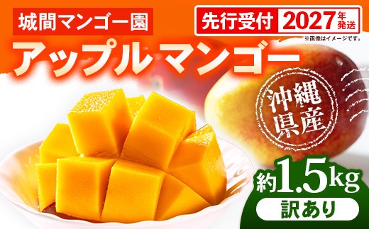 
                  【先行受付】【2027年発送】城間マンゴー園のアップルマンゴー 訳あり 約1.5kg - 先行予約 沖縄県産 産地直送 南国フルーツ 旬の味覚 季節の果物 ご自宅用 訳アリ 家庭用 沖縄マンゴー 沖縄県 八重瀬町【価格改定】
                