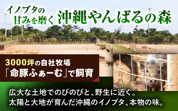 『命豚レバー好きセット』 豚肉 レバーパテ レバーペースト スモークレバー おつまみ 詰め合わせ お取り寄せ 国産 ギフト 冷凍 沖縄市 / DELICATESSEN NUCHIBUTA [BCAR0