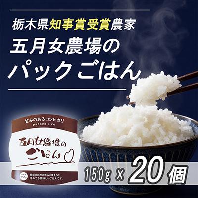ふるさと納税 大田原市 栃木県大田原産コシヒカリ パックご飯20個|栃木県農業大賞知事賞受賞|五月女農場|メディア出演多数