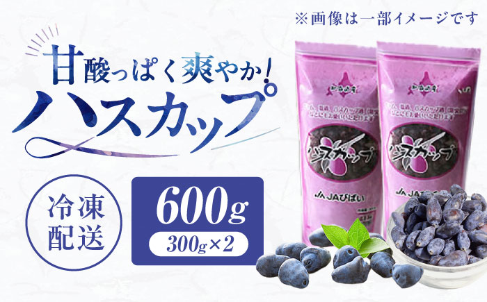 ハスカップ 600g（300g×2パック） | JAびばい [BOAF030]