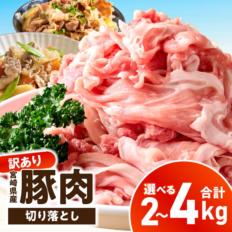 【ふるさと納税】【選べる内容量】【訳あり】宮崎県産豚肉切り落とし 2～4kg
