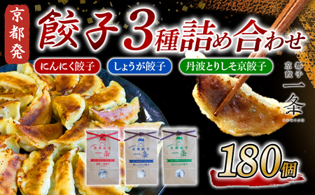 【京都餃子 一条】餃子3種セット「にんにく餃子/しょうが餃子/丹波とりしそ餃子」120個 冷凍餃子 惣菜餃子 冷凍生餃子