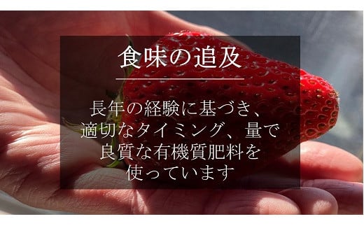 超特大いちご(紅ほっぺ)　460g以上(6〜7粒、１粒65g以上)・O037-17／オオダケイチゴ 