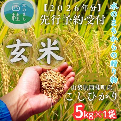 ふるさと納税 西桂町 【先行予約受付】山梨県西桂町産 富士山麓「水のまち」の令和8年産こしひかり玄米5kg×1袋