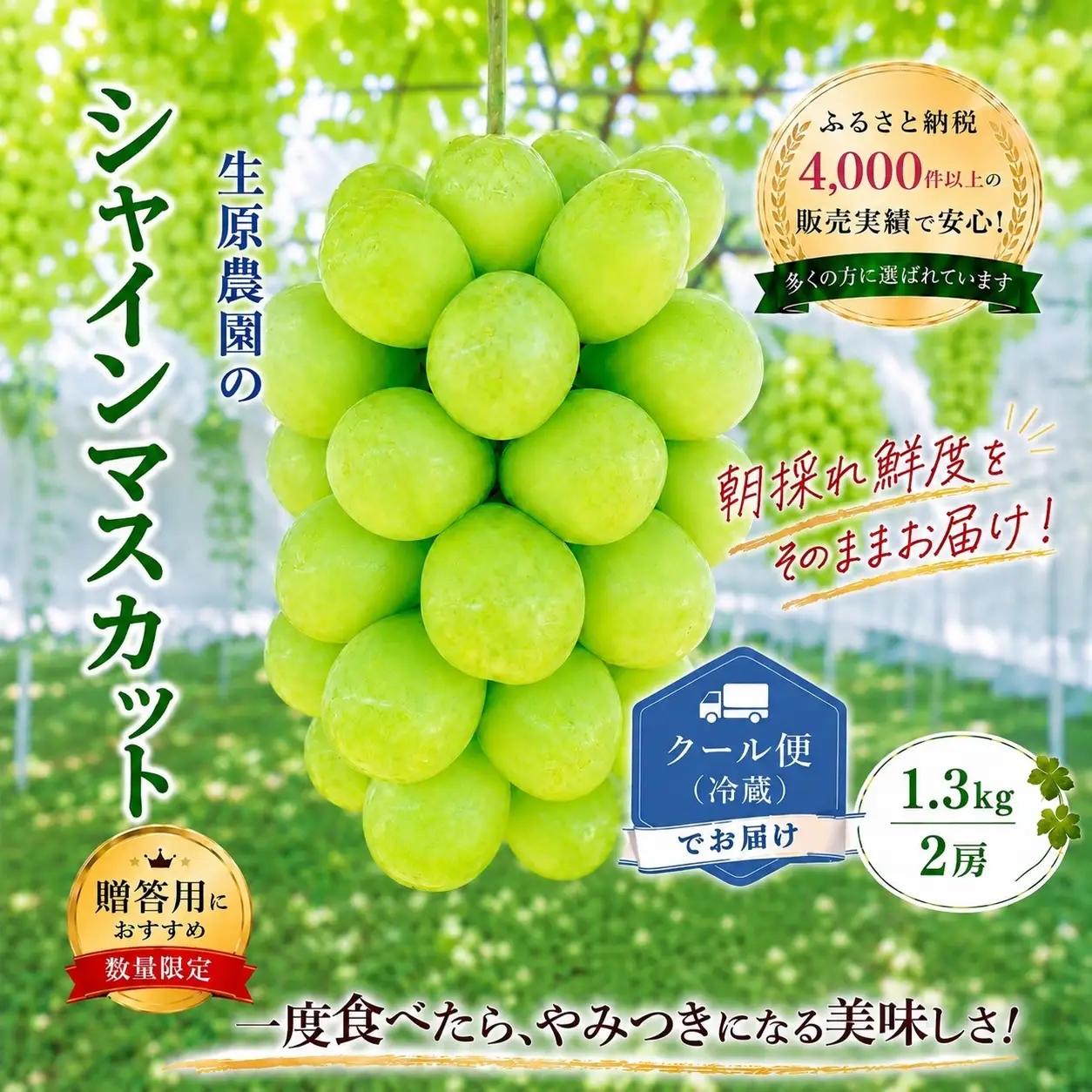 【2026年発送★先行予約】フルーツ王国笛吹市のシャインマスカット2房1.3kg クール便配送 137-001-26y