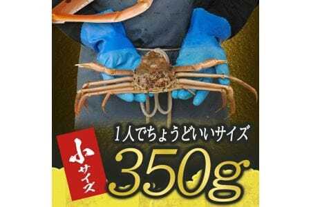 生・本ズワイガニ 1匹 350g程度 遊佐沖 10月中旬～12月下旬頃お届け 冷蔵便 ※着日指定・離島（沖縄県を含む）発送不可 1人前 東北 山形県 庄内地方 日本海 カニ 蟹 かに 海産物 シーフー