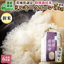 【ふるさと納税】令和6年産 茨城産 特別栽培米 ミルキークイーン 5kg 精米 米 こめ コメ 茨城県 白米 国産 いばらき 単一米 直送