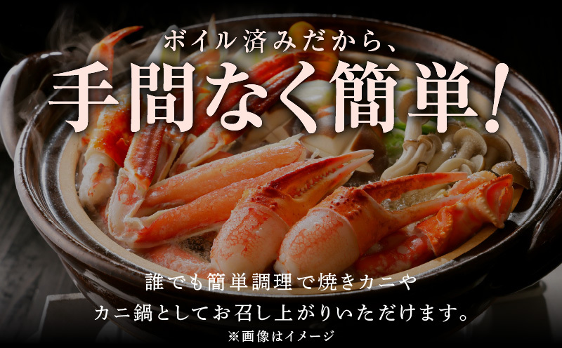 【北国からの贈り物】ズワイガニ足 1kg前後  約2-3人前 蟹酢付き 昆布塩加工 ボイル かに カニ ズワイガニ 脚 G1072_イメージ3