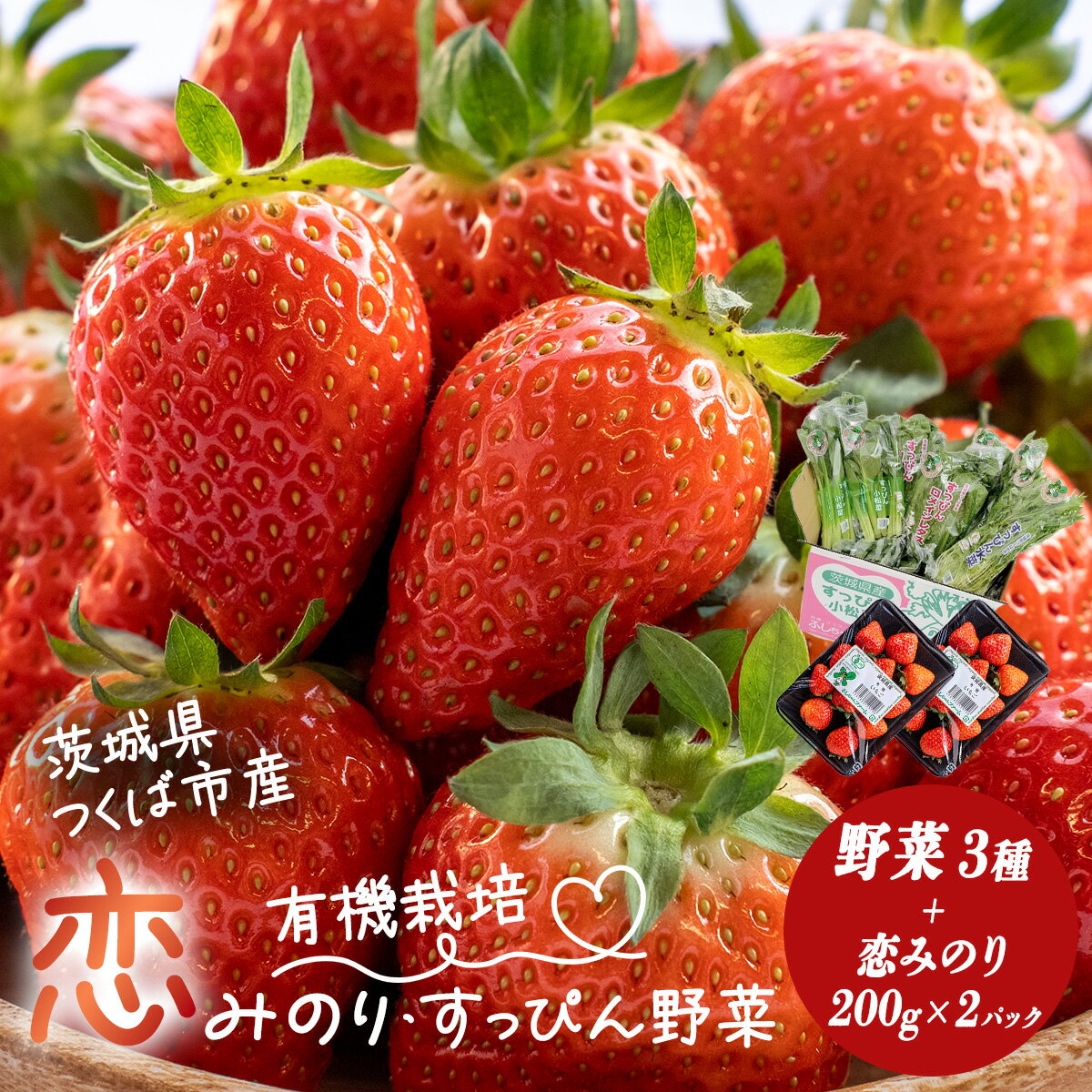 【ふるさと納税】有機いちご400g・野菜セット すっぴん有機いちご | 茨城県 つくば市 いちご 苺 イチゴ 恋みのり 小松菜 ロメインレタス 水菜 鍋 鍋もの 野菜 有機野菜 有機栽培 無農薬 有機農業 オーガニック 自然 果実 フルーツ 果物 希少