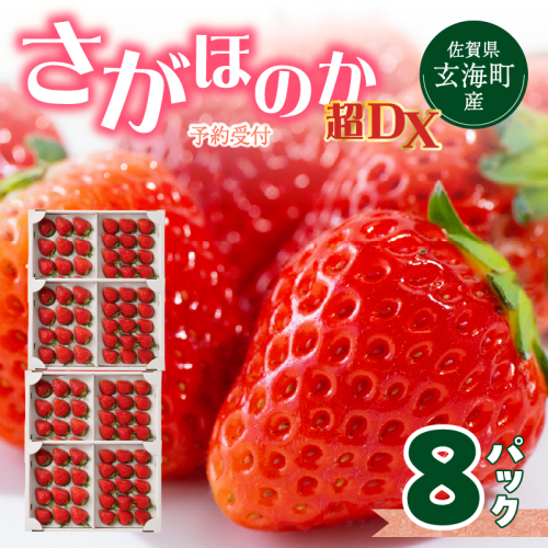 【予約受付】佐賀県玄海町産さがほのか超DX（2027年1月～5月中にお届け）／ 送料無料 さがほのか 苺 いちご イチゴ 希少 果物 くだもの フルーツ デザート 旬 順次配送 予約受付