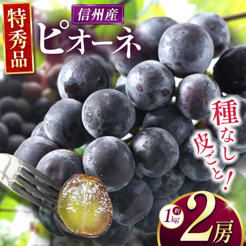 【ふるさと納税】【先行受付：2026年発送】種なしピオーネ　2房（約1kg）｜ふるさと納税 松本市 ぶどう 種なしぶどう ピオーネ 果物 濃厚 農家 自然 ビタミン 地元 新鮮
