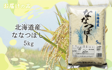 【令和7年産】北海道産ななつぼし 5kg 【ふるさと納税 人気 おすすめ ランキング 米 こめ コメ お米 ななつぼし ご飯 ごはん 白米 おにぎり 精米 北海道産 北海道 網走市 送料無料】 ABT