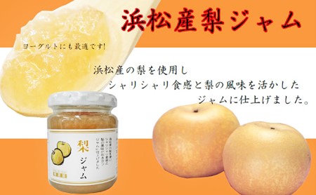 遠州の果物、野菜加工品詰合せ（柿２本）