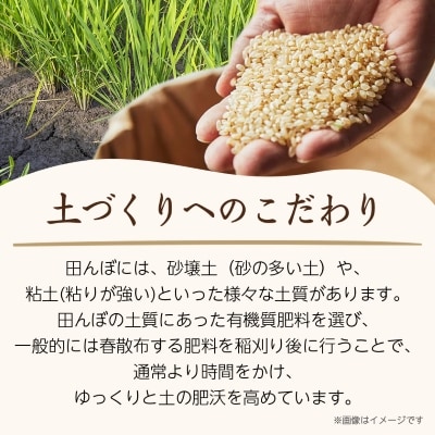 令和7年産　山形県産　雪若丸　10kg(5kg×2袋)【1144534】