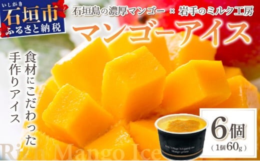 
                  マンゴーアイス 6個（1個 60g）【石垣島 石垣市 沖縄県石垣市 セット アイス 石垣島産 八重山 マンゴー 牛乳 完熟マンゴー】 PI-1
                