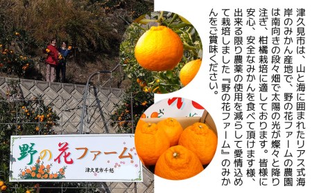 【先行予約・数量限定】野の花ファーム 不知火 5kg 手選別完熟 みかん ミカン オレンジ フルーツ 柑橘類 大分県産 九州産 津久見市 国産【tsu002803】