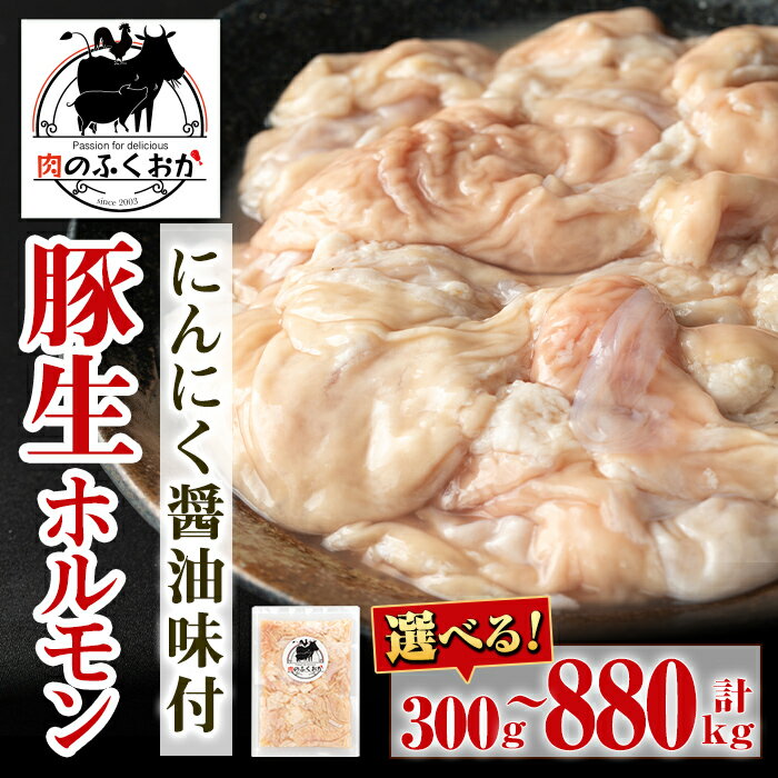 【ふるさと納税】＜容量が選べる！＞豚生ホルモンにんにく醤油味付(約300g×1P or 計1kg・約220g×4P) 鹿児島 豚肉 ホルモン 生ホルモン にんにく 醤油 おかず 加工品 味付け 冷凍 冷凍食品 お弁当【肉のふくおか】