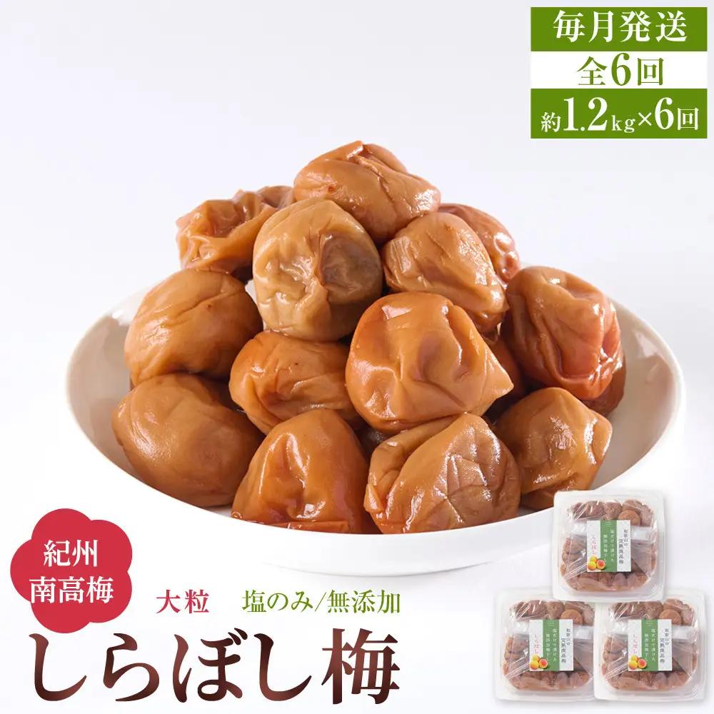 梅干し しらぼし梅 約1.2kg（約400g×3）塩のみ 無添加 大粒 紀州南高梅 塩分約15％ 和歌山県産 [ 定期便 毎月発送・全6回 ]