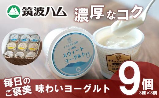 【筑波ハム】毎日のご褒美 味わいヨーグルトギフトセット【 筑波ハム ヨーグルト クリームチーズ チーズ ご褒美 乳 腸活 美容 健康 ギフト 贈答 茨城県産 国産 つくば市 】