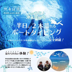沖永良部島のファンダイビング 2ボートダイブ W015-002u チケット 体験