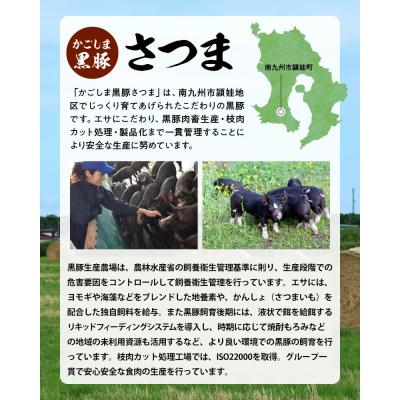 ふるさと納税 南九州市 「かごしま黒豚さつま」餃子64個セット |  | 02