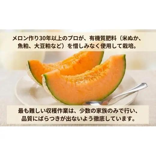 メロン ＜数量限定＞ おいわけメロン 糖度16度以上 2.0kg以上×1玉 赤肉 北海道 安平町産 【1102196】