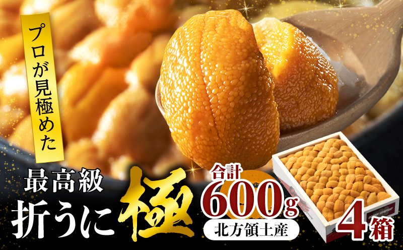 ≪プロ厳選≫最高級折うに(極)計600g うに ウニ 雲丹 折うに 海鮮 海産物 北海道 浜中町 ふるさと納税 人気_H0014-003