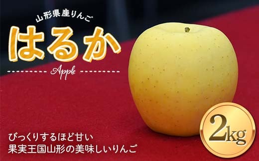 《2025年度発送》 りんご はるか 2kg(5～8玉) 秀品 果物 フルーツ FSY-1391