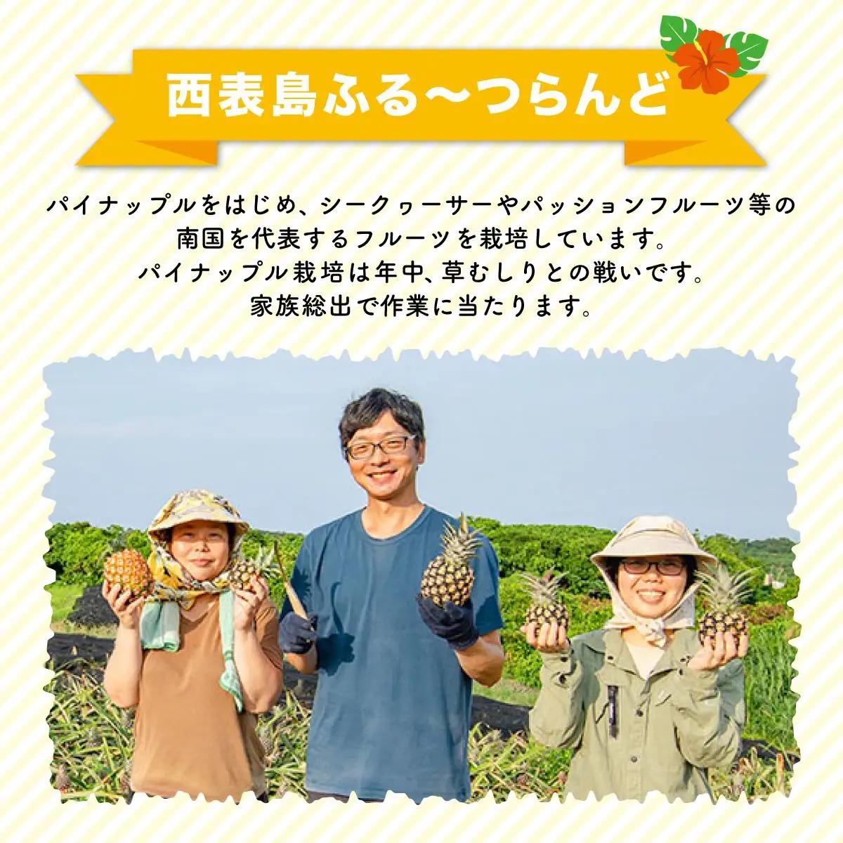 【2027年先行予約】島パイン (ハワイ種) 約2.5kg