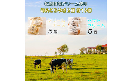 長門牧場　ソフトクリーム＆クリームチーズ薄皮どらやき２種セット　人気スイーツ　濃厚ミルク　直送　牛乳　生乳　国産　夏ギフト　長野県　贈答品　お土産　お中元　お歳暮　クリスマス
