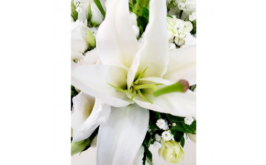 白ユリ 洋花 フラワーアレンジメント 1個 ゆり 百合 花 生花 フラワー ギフト プレゼント 贈り物 お供え 供花 お悔やみ 仏花 法事 命日 お盆 お彼岸 お祝い 記念日 誕生日 敬老の日 インテリア 飾り 華やか 上品 アレンジメント 岩手県 盛岡市 東北 岩手 盛岡 有限会社田村フローリスト