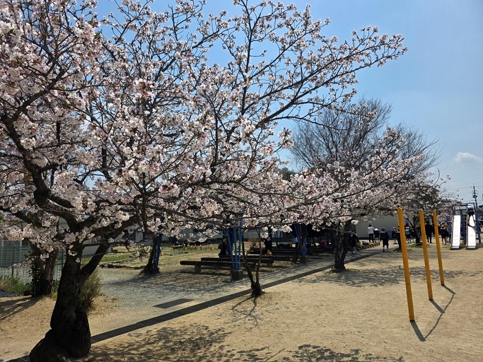 ＜学校応援ふるさと寄附金＞＜返礼品なし＞田原本町立平野小学校 (1,000円) 【tm-CQ004-E】【田原本町】