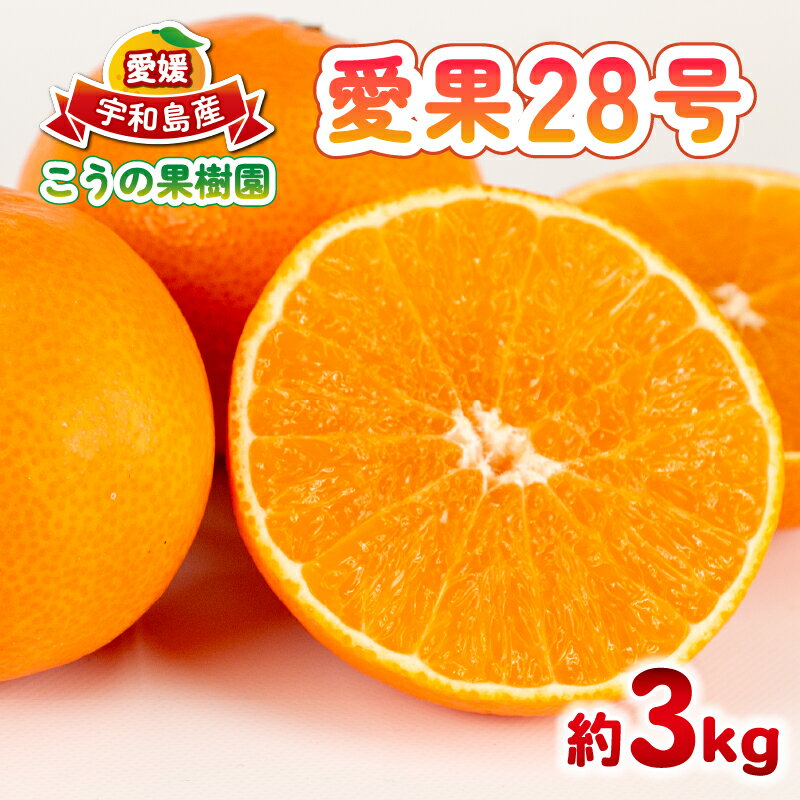【ふるさと納税】 愛果28号 約3kg こうの果樹園 みかん 愛媛ミカン 愛媛蜜柑 mikan 柑橘 果物 くだもの フルーツ 高級 ブランド 限定 品種 濃厚 甘い 甘味 蜜柑 ゼリー プルプル 産地直送 農家直送 数量限定 国産 愛媛 宇和島 B010-182004