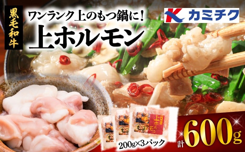 
ワンランク上のもつ鍋に！上ホルモン600g（200g×3パック）　K002-004_01
