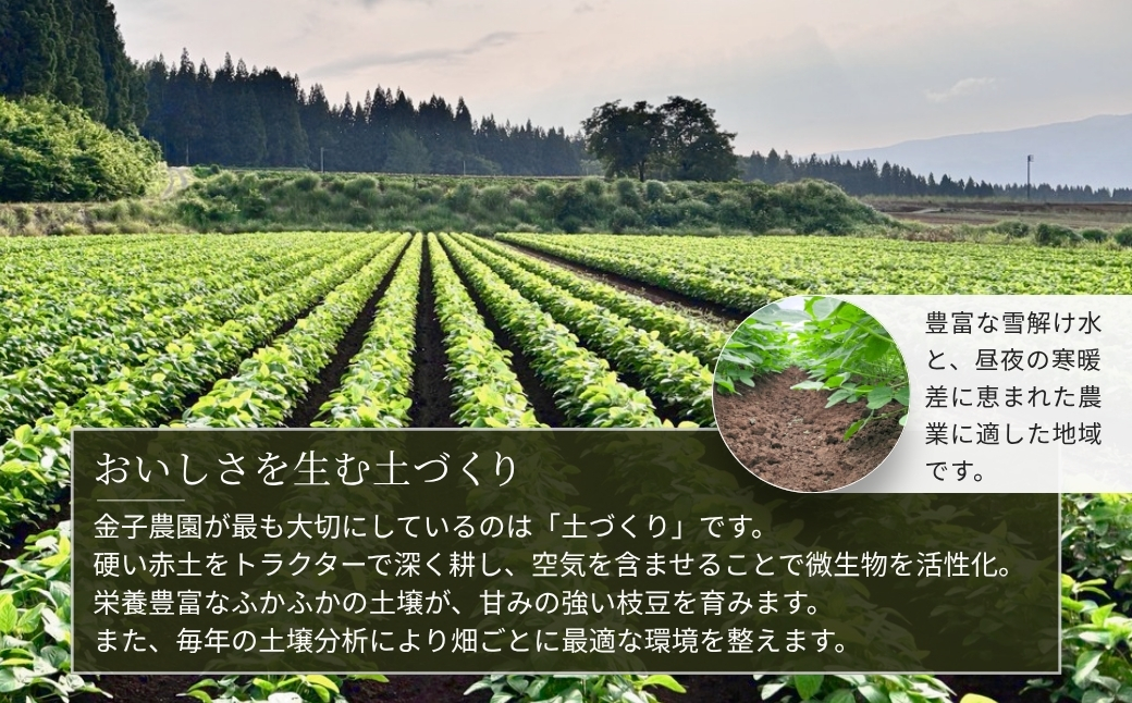 【令和8年産 枝豆 先行予約】新潟茶豆 2kg（250g×8袋）金賞受賞 | 新潟県 津南町 金子農園