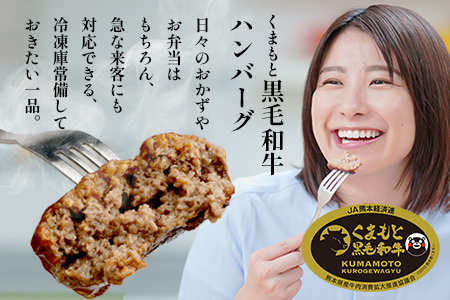 くまもと黒毛和牛 DREAMバーグ 150g×5パック 計750g 牛肉 100％ 国産 生 ハンバーグ 熊本 ブランド牛 黒毛 和牛 上質 はんばーぐ 惣菜 熊本県 113-0508