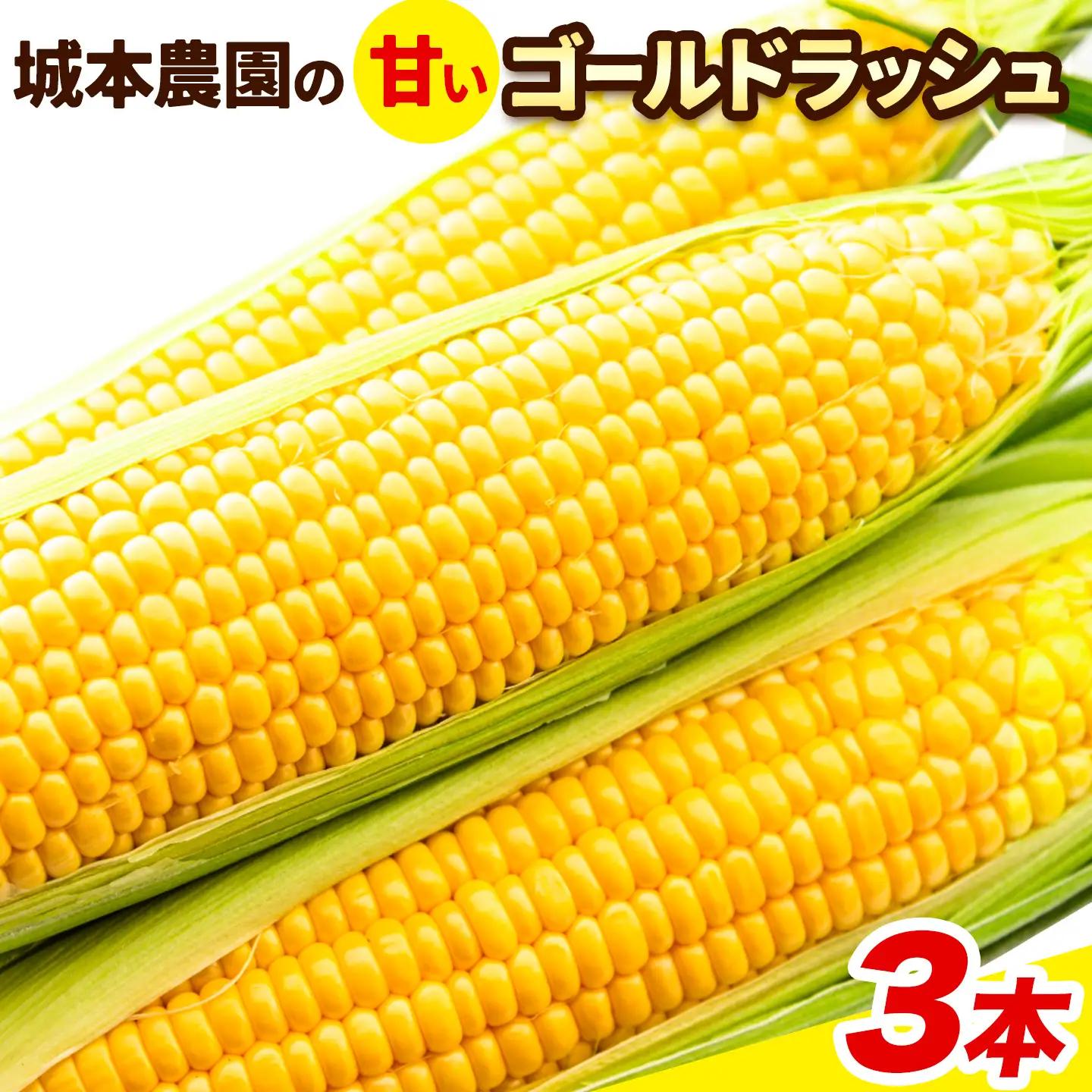 とうもろこし 3本 城本農園 とうもろこし