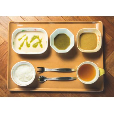 ふるさと納税 清須市 介護用GSミキサー食・お試し1日分(3食)
