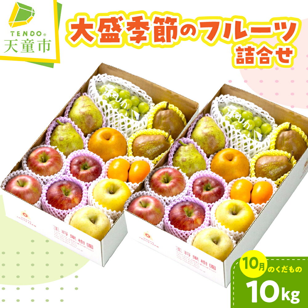 【ふるさと納税】 大盛 季節 の フルーツ 詰合せ ( 10月分 ) 10kg 桃 白桃 黄桃 ぶどう 大粒 りんご 和梨 西洋梨 柿 果物 くだもの フルーツ セット 山形 のし 贈答 お取り寄せグルメ 旬 産地直送 送料無料【 山形県 天童市 】