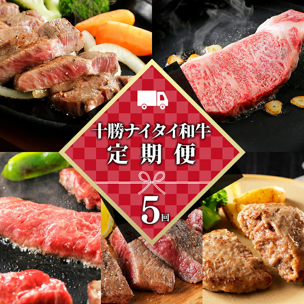 【ふるさと納税】十勝ナイタイ和牛 定期便 5回 5ヵ月定期便 国産 北海道 牛 肉 牛肉 和牛 5・4等級 黒毛和牛 オレイン酸含有率55%以上 サーロイン ミスジ ステーキ ハンバーグ 冷凍 レビューキャンペーン対象品