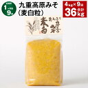 【ふるさと納税】【定期便】【1ヶ月毎9回】九重高原みそ（麦白粒） 1kg×4袋 計36kg（4kg×9回） 麦みそ 味噌 白色系 大麦 大豆 調味料 大分県産 九州 国産 大分県 九重町 送料無料