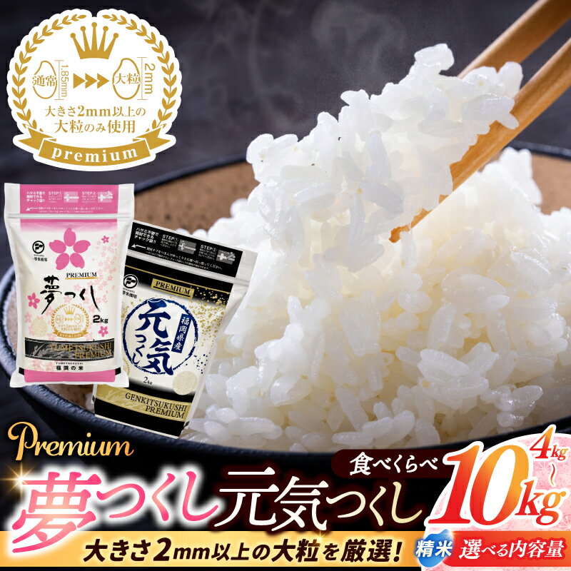 【ふるさと納税】 米 4kg / 10kg 選べる 「 夢つくし / 元気つくし プレミアム 」 ふるさと納税米 令和7年産 ブランド米 福岡県産 4キロ / 10キロ 白米 お米 コメ ご飯 配送日時指定不可 2週間～2ヶ月で発送 九州米star 返礼品 添田町 ふるさと納税