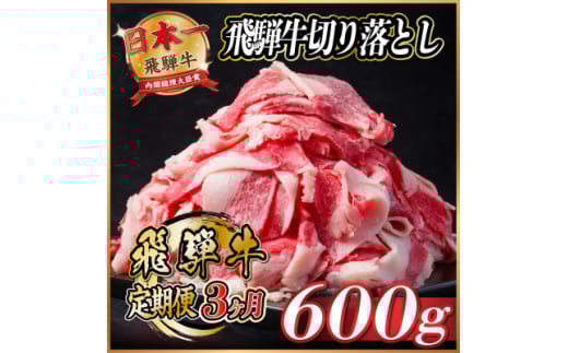 ＜毎月定期便＞飛騨牛　切り落とし　約600g＜冷蔵便＞全3回【4055014】