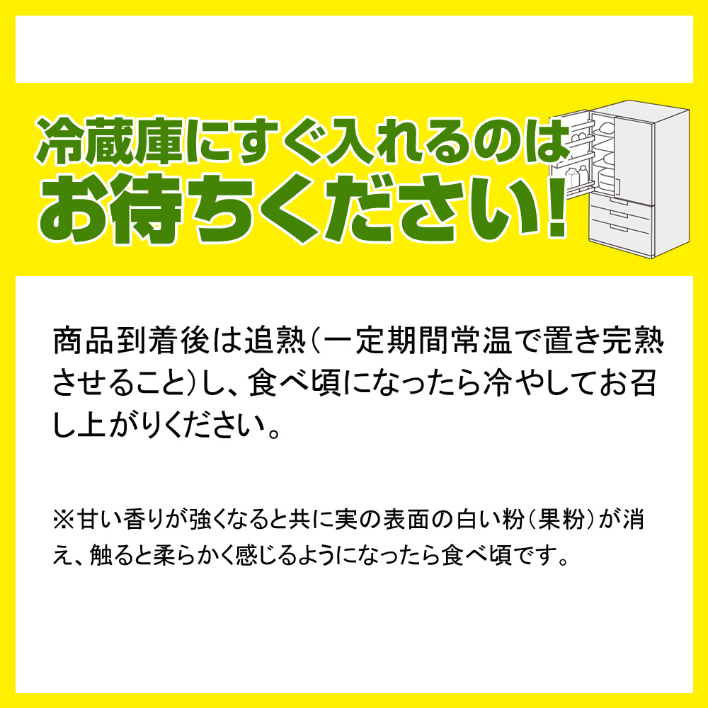 【2025年発送】南風原農園　丹精込めた「キーツマンゴー」1kg_イメージ5