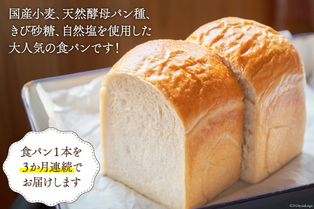3回 定期便 食パン 天然酵母食パン 1本