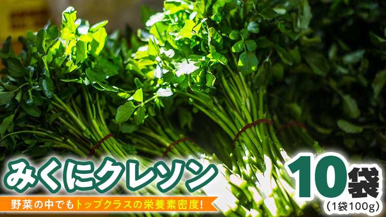 
【 先行予約 】 みくにクレソン100g×10袋 美容 健康 野菜 スーパーフード [CY003ci]
