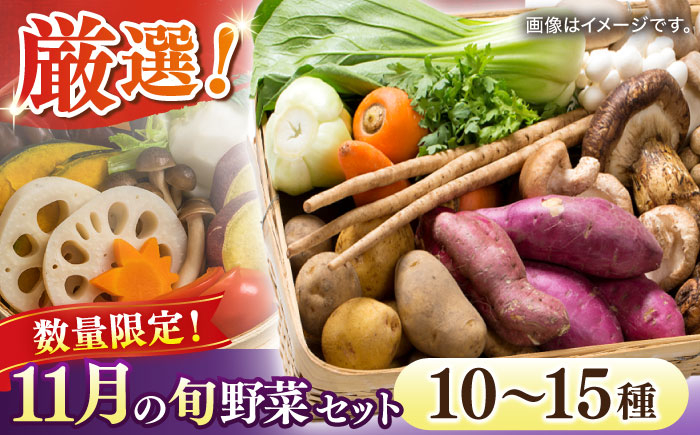 
【数量限定】厳選！旬を味わう高槻野菜おまかせ詰め合わせセット 11月（10種～15種）　大阪府高槻市/高槻あぐり[AOCS017] [AOCS017]
