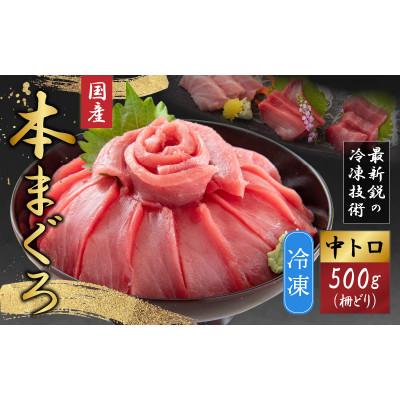 ふるさと納税 福井市 【最新鋭の冷凍技術 刺身用】本まぐろ 中トロ 500g(柵どり)